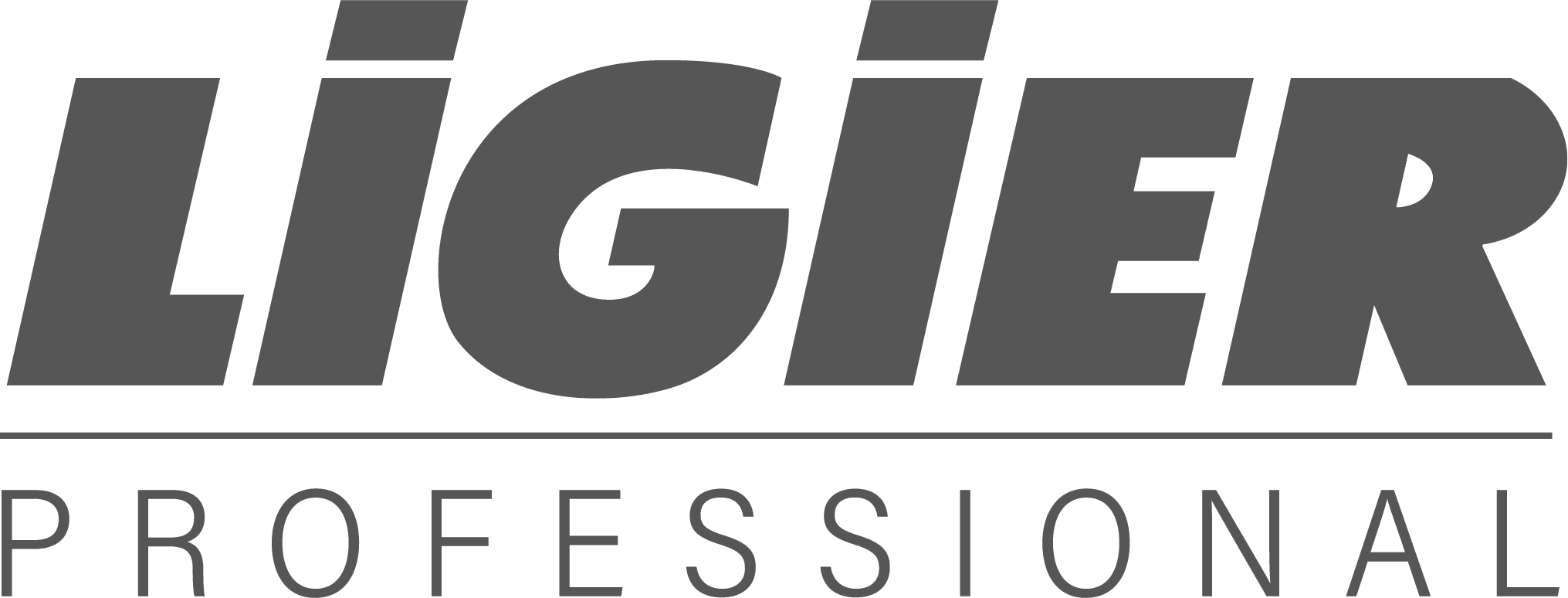 LOGO LIGIER PROFESSIONAL